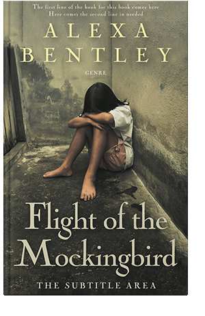 Pre Made Book Cover Armadillo