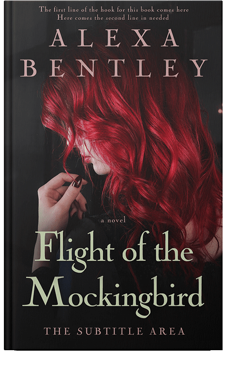 Front view of Gondola #8935 - Premade Romance Book Cover