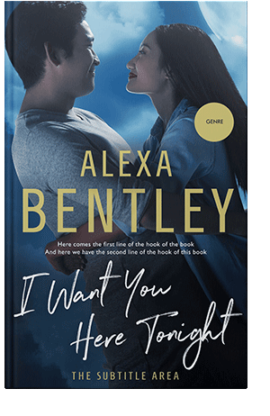 Pre Made Book Cover Big Stone