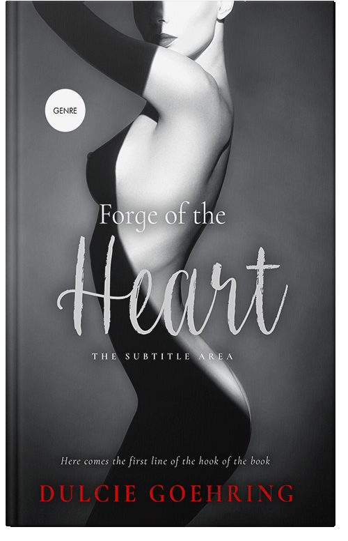 Front view of Premade Erotica Book Cover - Ship Gray