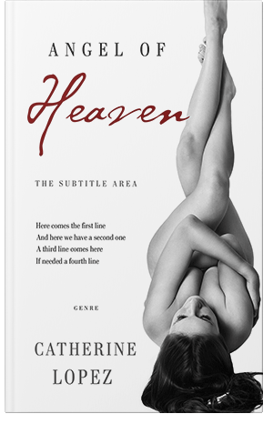 Pre Made Book Cover Silver