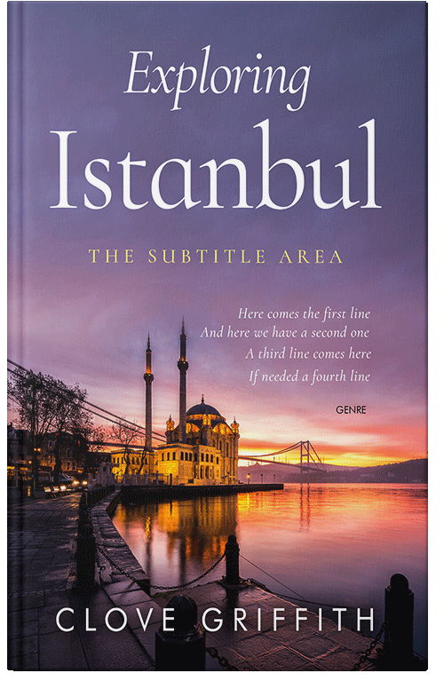 Front view of Rum #10314 - Premade Travel Book Cover