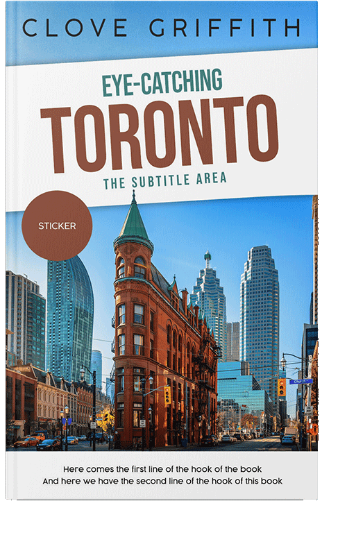 Front view of Rock #10355 - Premade Travel Book Cover