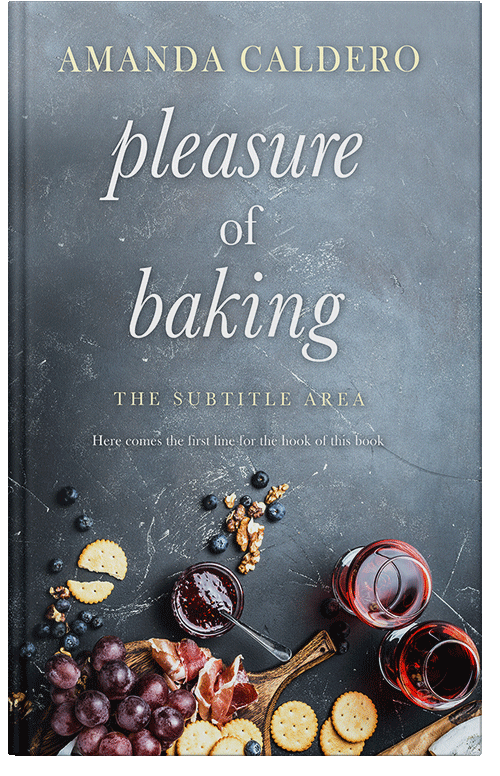 Front view of Slate Gray #10573 - Premade Romance Book Cover