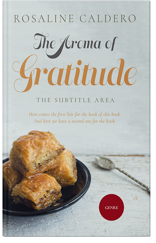 Front view of Conch #10591 - Premade Travel Book Cover