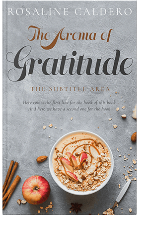 Pre Made Book Cover Silver