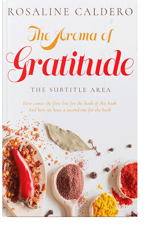 Front view of Thunderbird #10598 - Premade Travel Book Cover