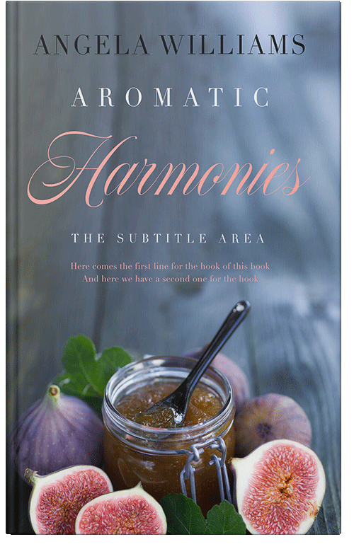 Front view of Premade Cookbooks & Food & Wine Book Cover - Shuttle Gray