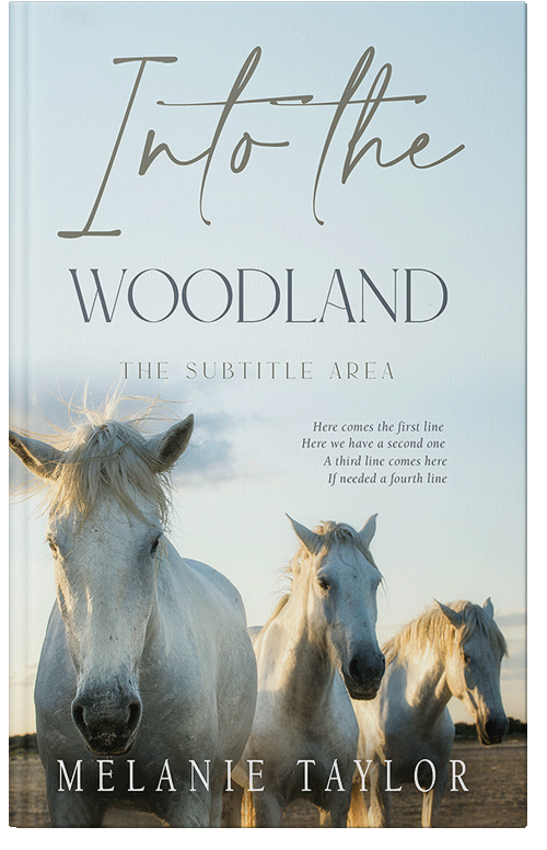 Front view of Geyser #10965 - Premade Travel Book Cover