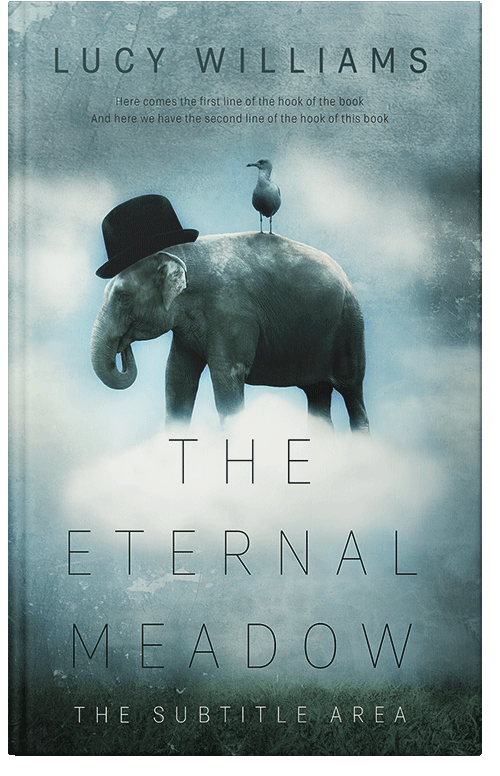 Front view of Premade Fantasy Book Cover - Cascade