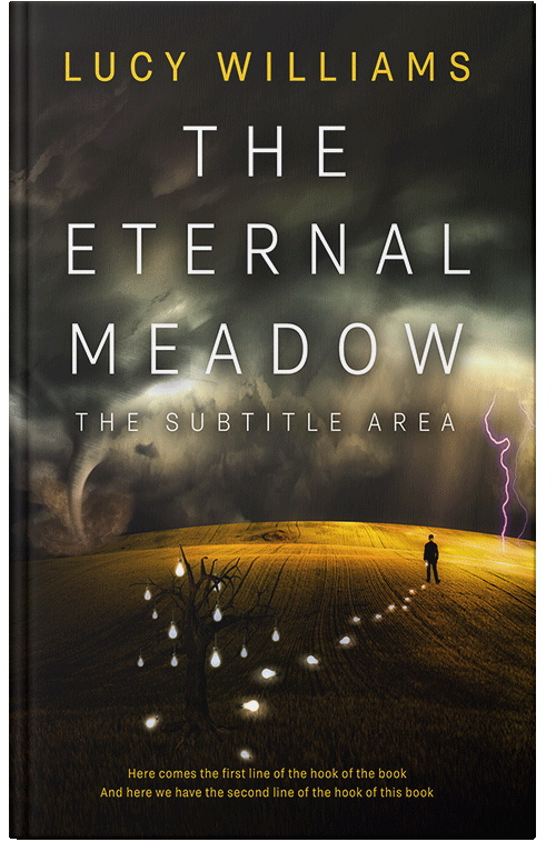 Front view of Oil #11091 - Premade Surreal Book Cover