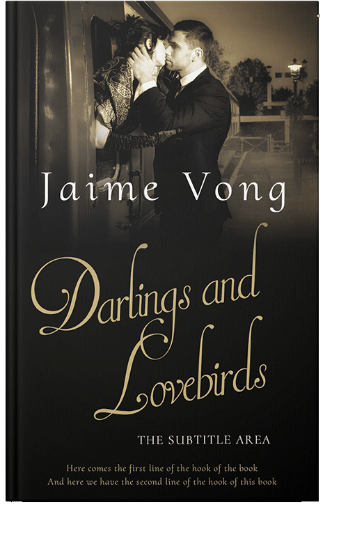 Front view of Cod Gray #11348 - Premade Romance Book Cover