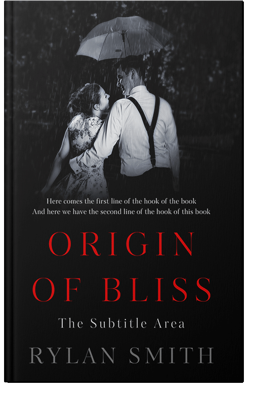 Front view of Cod Gray #11419 - Premade Romance Book Cover