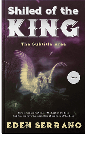 Pre Made Book Cover Gondola