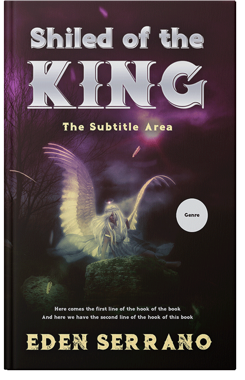 Front view of Premade Fantasy Book Cover - Gondola