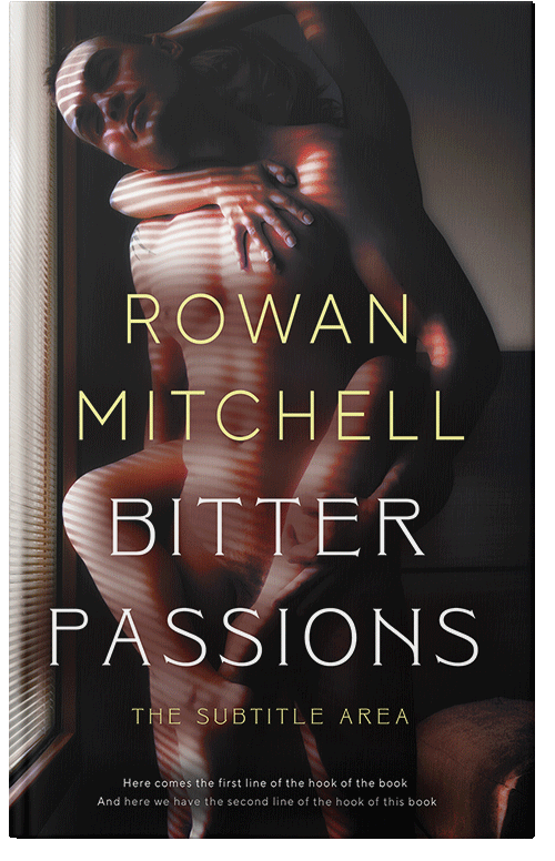 Front view of Premade Erotica Book Cover - Gondola