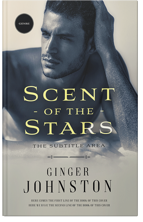 Front view of Foggy Gray #13072 - Premade Erotica Book Cover