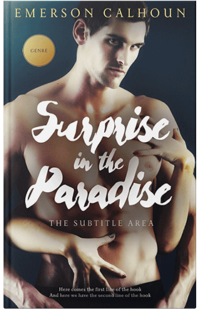 Pre Made Book Cover Akaroa