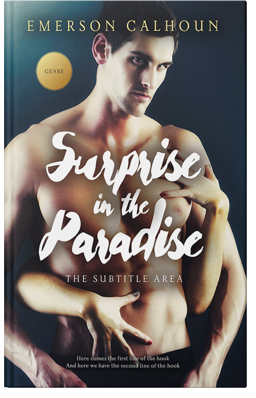 Front view of Akaroa #13386 - Premade Erotica Book Cover