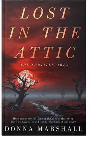 Pre Made Book Cover Jon