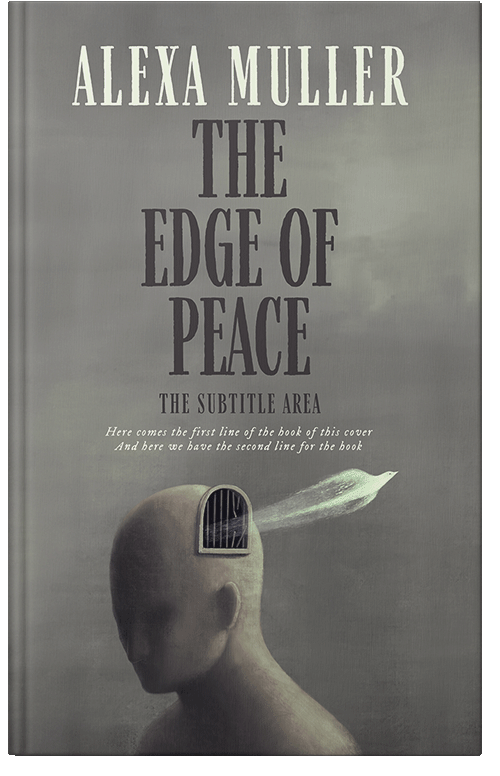 Front view of Friar Gray #15034 - Premade Politics & Law & Society Book Cover