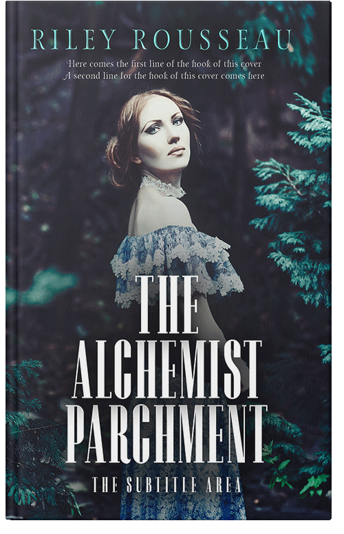 Front view of Ebony Clay #15276 - Premade Historical Book Cover