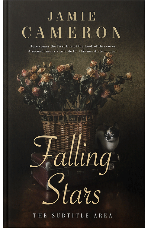 Front view of Eternity #16497 - Premade Poetry Book Cover