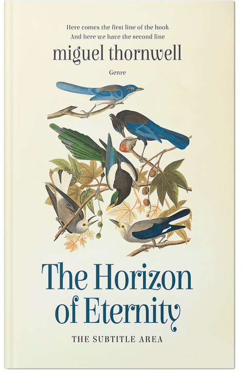 Front view of Premade Literary Fiction Book Cover - Rum Swizzle