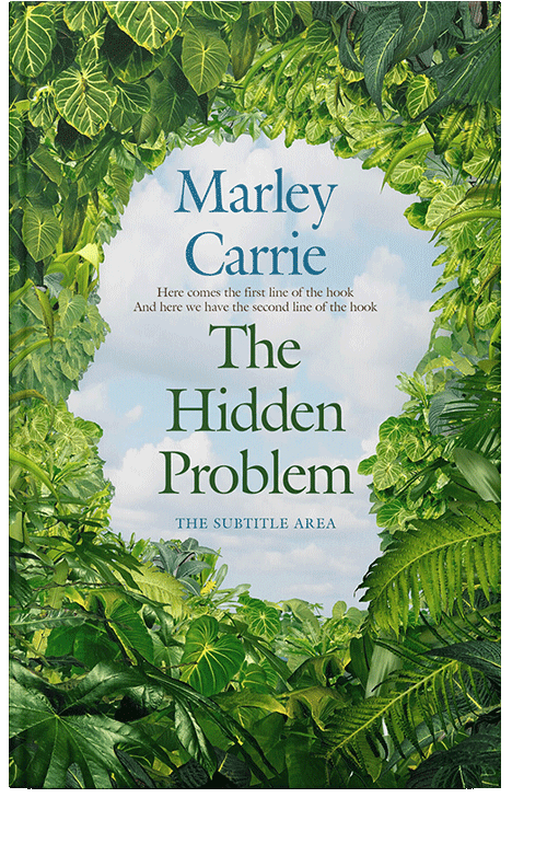 Front view of Gray Nurse #20306 - Premade Self-Improvement & Self-Help Book Cover