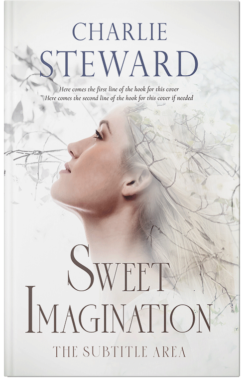 Front view of Pampas #20894 - Premade Abstract Book Cover