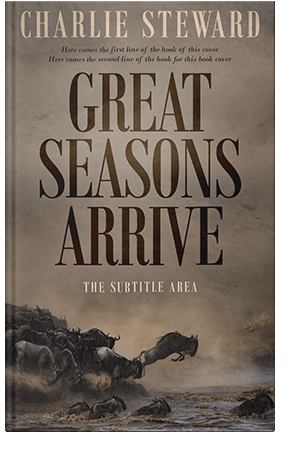 Pre Made Book Cover Sand Dune