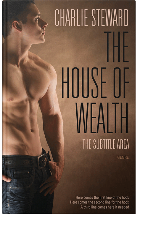 Front view of Spice #20947 - Premade Erotica Book Cover