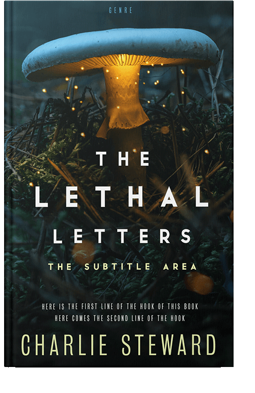 Front view of Black #21128 - Premade Fantasy Book Cover