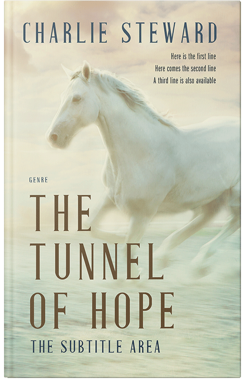 Front view of Premade Fantasy Book Cover - Tana