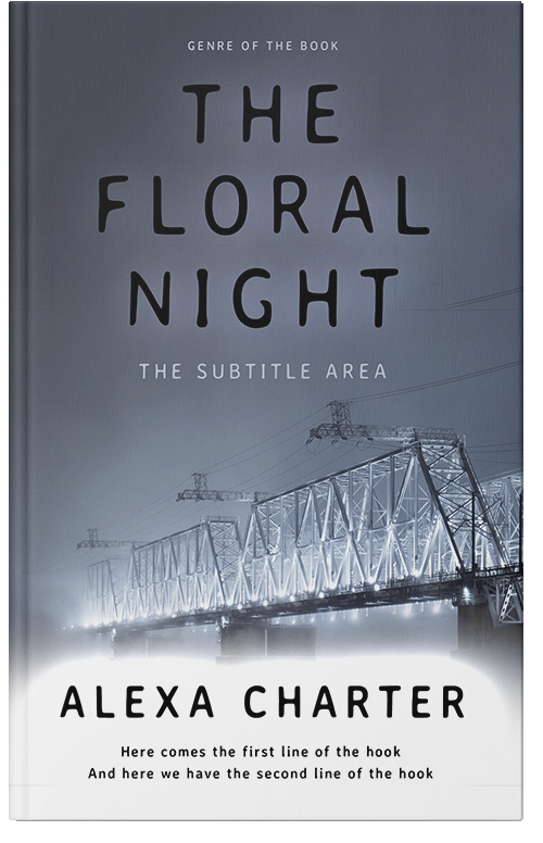 Front view of Premade Mystery & Thriller & Suspense Book Cover - Shuttle Gray