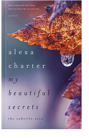 Pre Made Book Cover Falcon