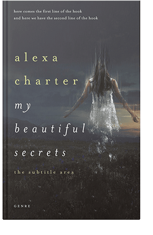 Pre Made Book Cover Ship Gray