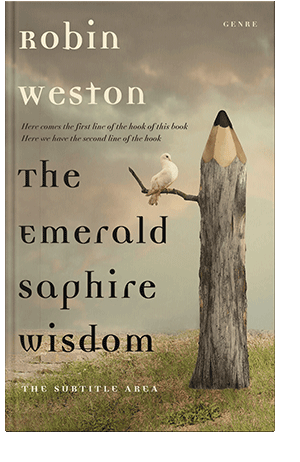 Pre Made Book Cover Donkey Brown