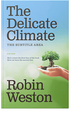 Pre Made Book Cover Ziggurat