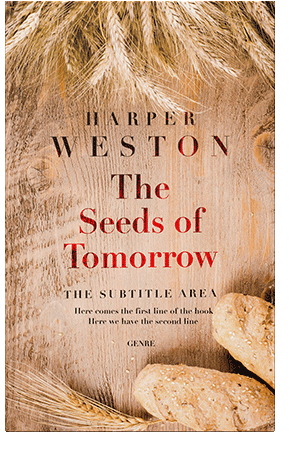 Related Premade Book Cover: Cashmere #23102