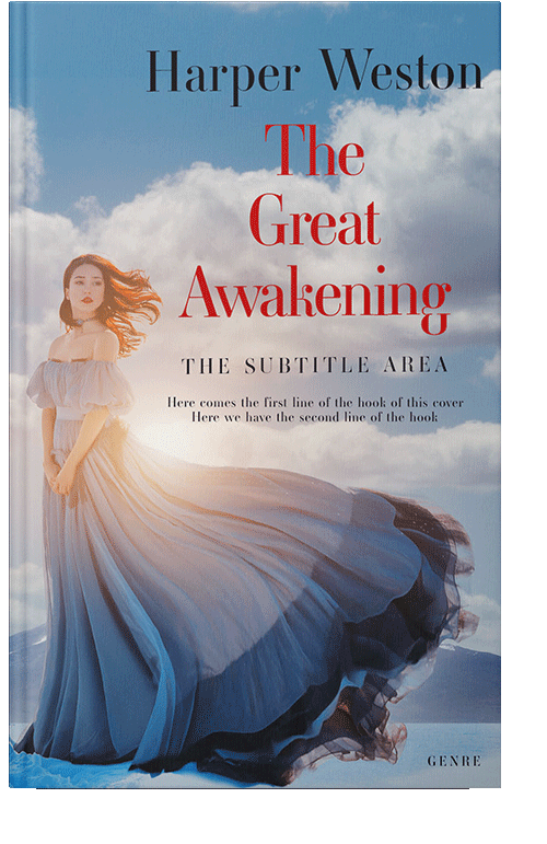 Front view of Pale Slate #23274 - Premade Romance Book Cover