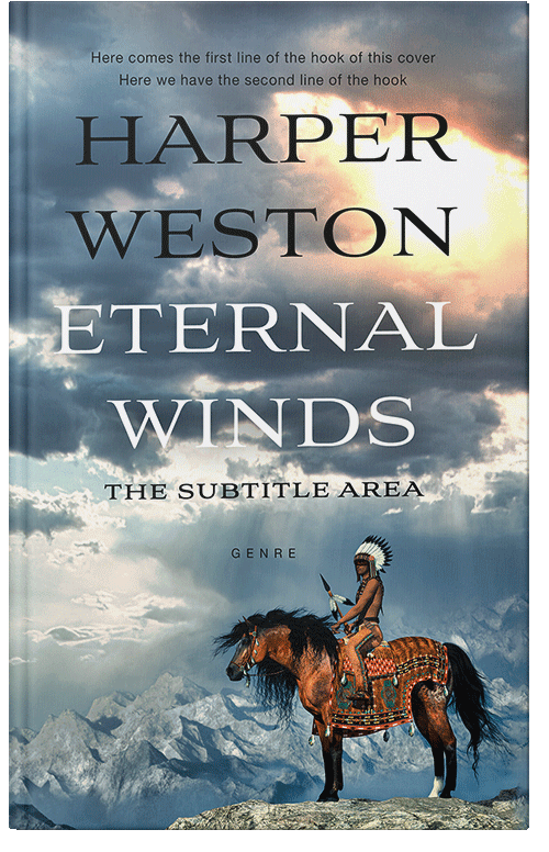 Front view of Slate Gray #23335 - Premade Historical Book Cover