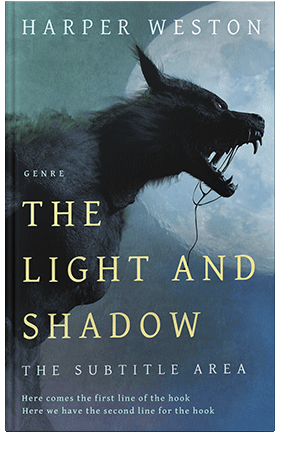 Pre Made Book Cover Blue Bayoux