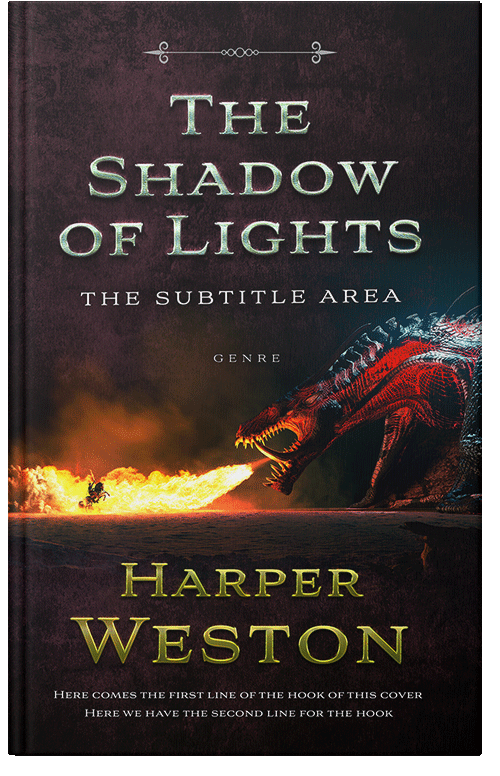 Front view of Premade Fantasy Book Cover - Gondola