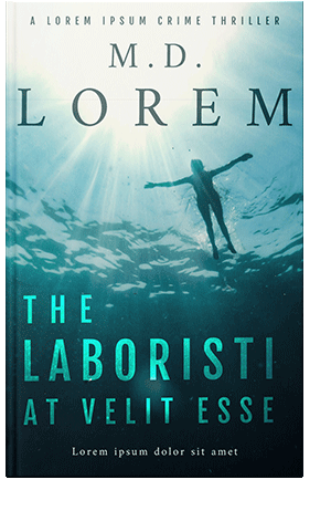 Pre Made Book Cover Harp