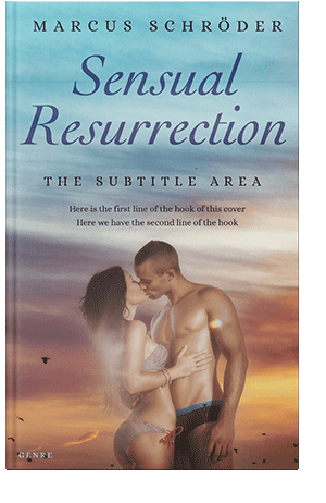 Pre Made Book Cover Gray Chateau