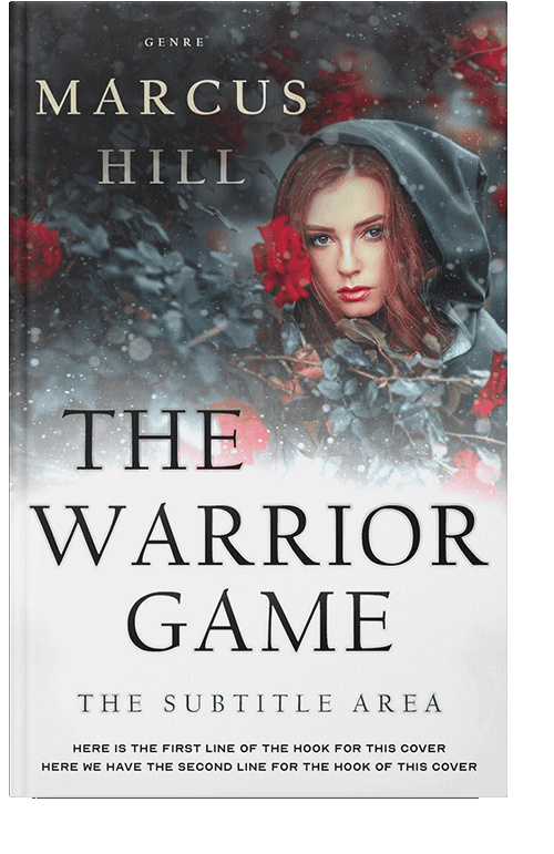 Front view of Ship Gray #25549 - Premade Fantasy Book Cover