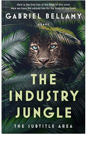 Pre Made Book Cover Aztec