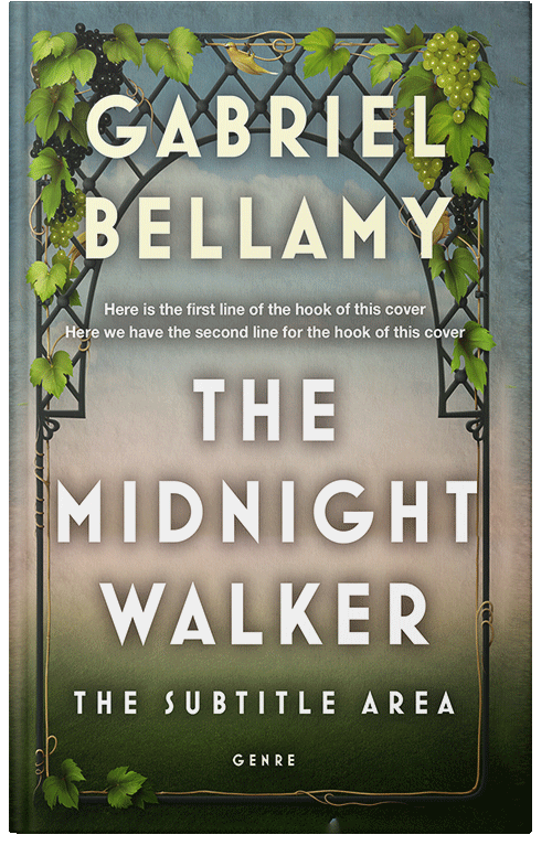 Front view of Napa #26036 - Premade Literary Fiction Book Cover