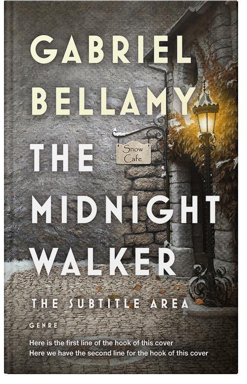 Front view of Premade Teen & Young Adult Book Cover - Flint